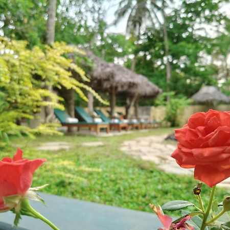 Marari Beach Bungalow Resort Alleppey Mararikulam Bagian luar foto